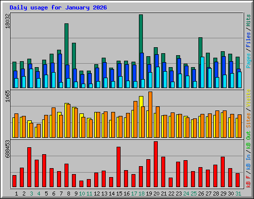 Daily usage for January 2026