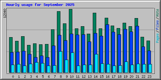Hourly usage for September 2025