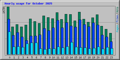Hourly usage for October 2025