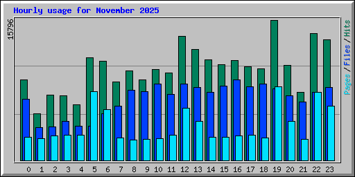 Hourly usage for November 2025