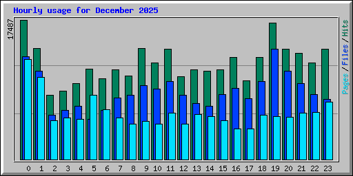 Hourly usage for December 2025