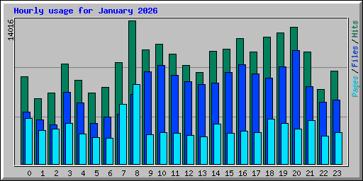 Hourly usage for January 2026
