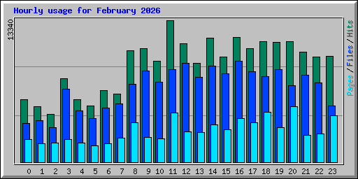 Hourly usage for February 2026