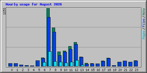 Hourly usage for August 2026